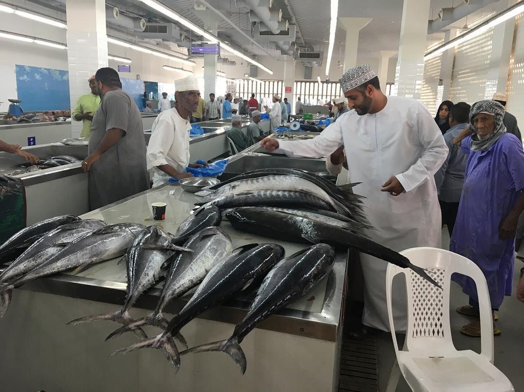 Thị trường cá ngừ Trung Đông ổn định sau đại dịch Covid-19