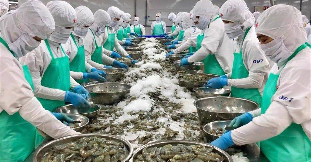 Shrimp exports in September 2022: Increased in Asia, decreased in US and EU markets