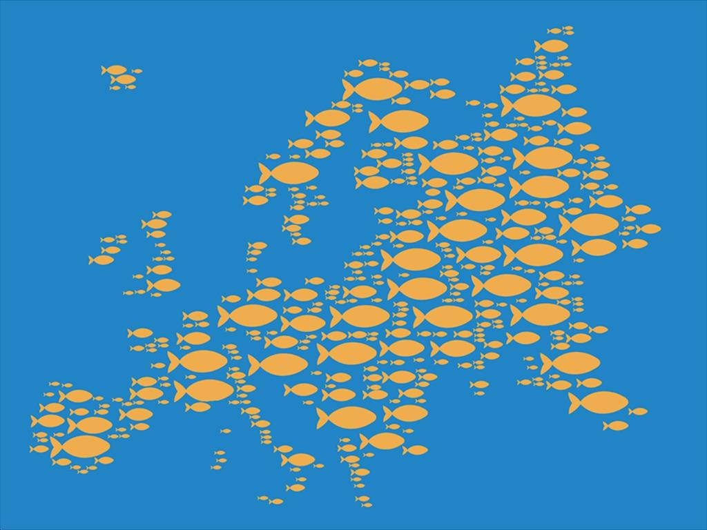 EU đang ở đâu trong bức tranh xuất khẩu thuỷ sản Việt Nam?