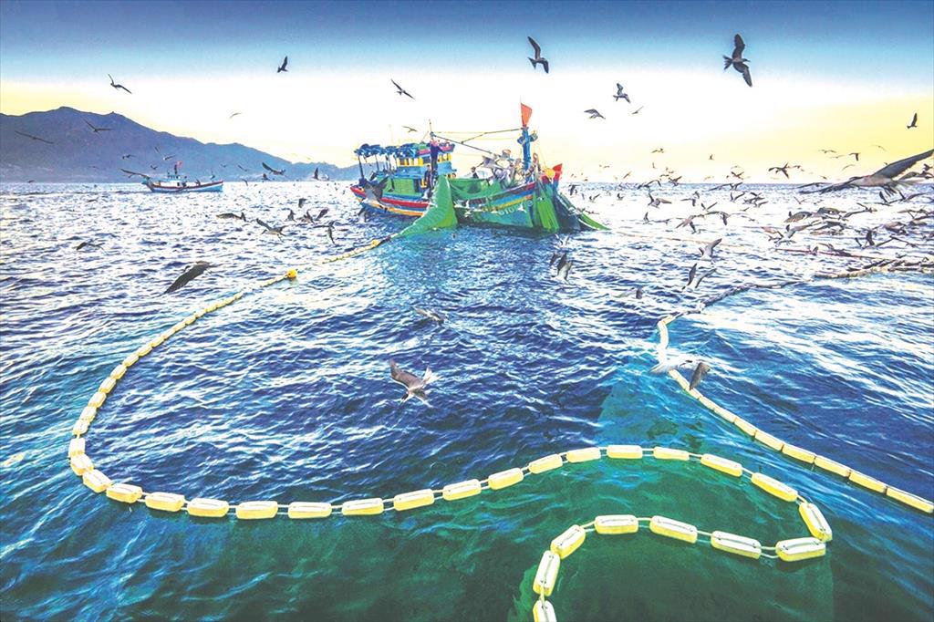 Đà Nẵng: Tập trung gỡ “thẻ vàng” thủy sản