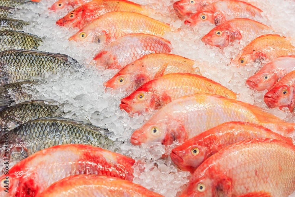 Nhập khẩu cá rô phi của Mỹ giảm