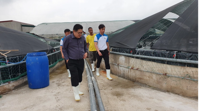 C.P. Việt Nam: Nuôi tôm sạch tại Bà Rịa – Vũng Tàu