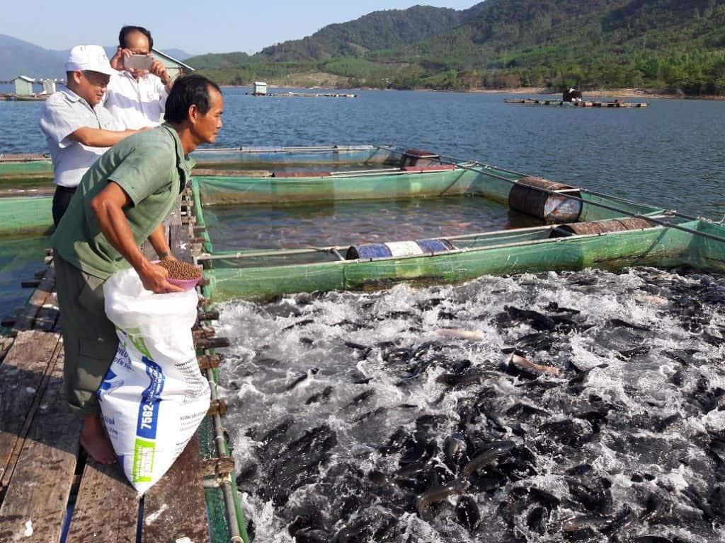 Focus on aquaculture with high economic value