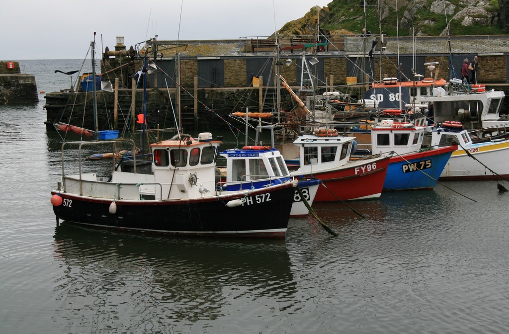 Đội tàu đánh cá của EU thua lỗ trong năm 2022