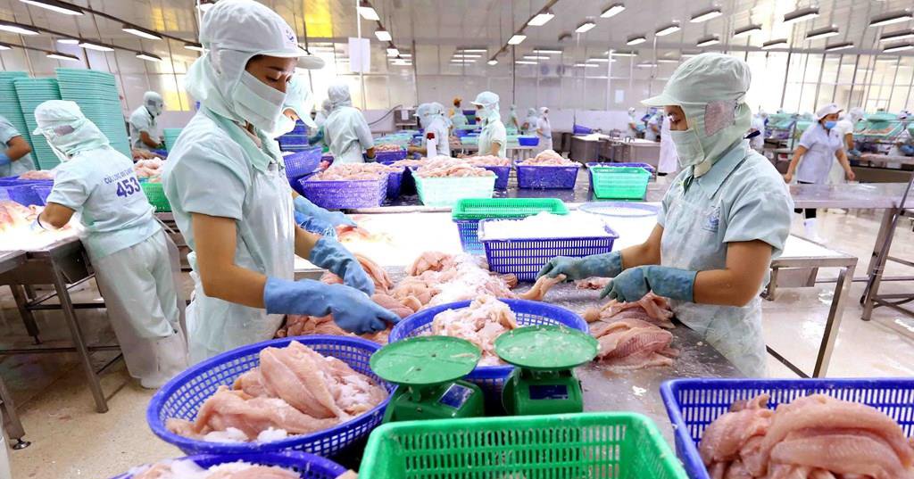 Thủy sản Cửu Long An Giang (ACL) báo lãi quý III gấp 6 lần cùng kì