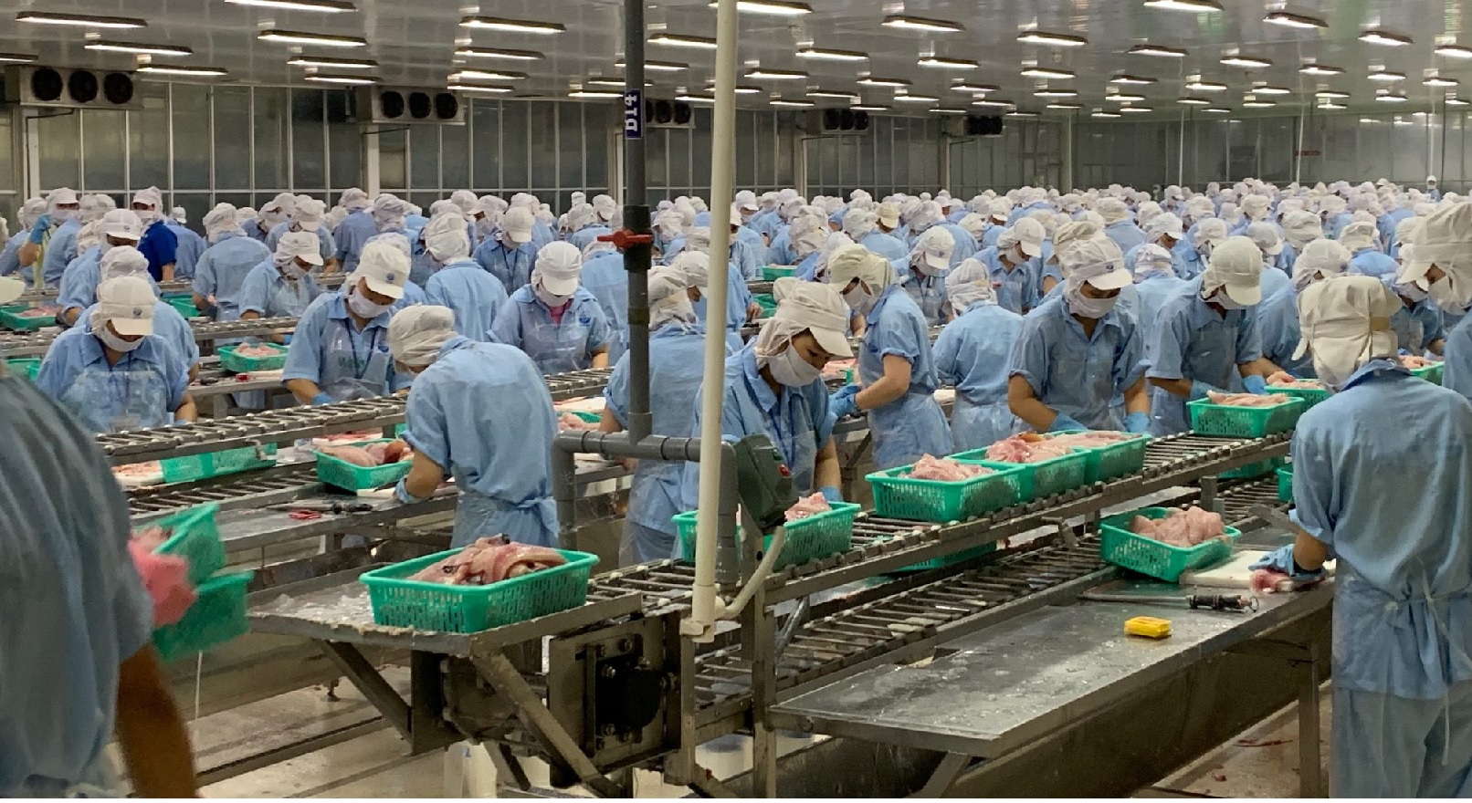 Vietnam seafood exports in the first 10 months of 2022 reached 9.4 billion USD