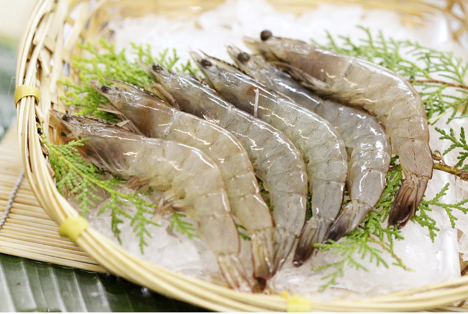 Vietnamese shrimp sharply increased market share in the Netherlands