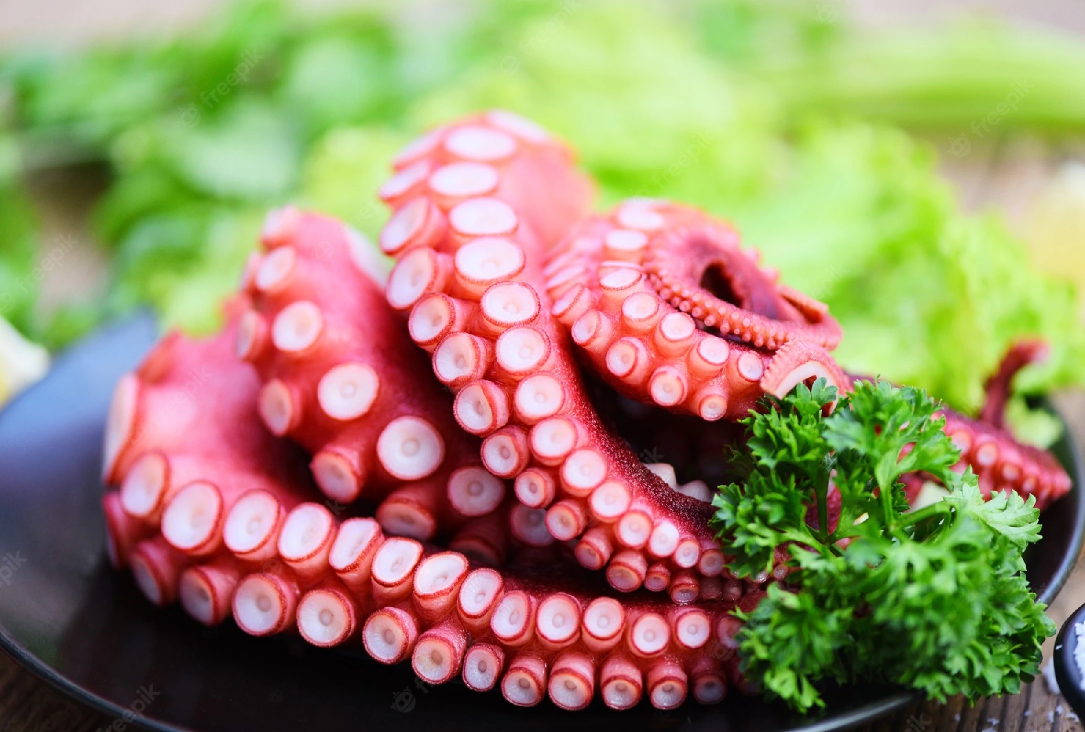 Exports of cephalopod in 2022 is expected to increase by 22% compared to 2021