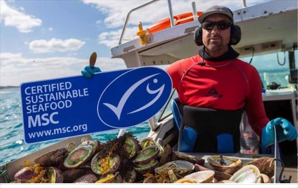 MSC ký MOU thứ hai với Indonesia để cải thiện nghề cá bền vững