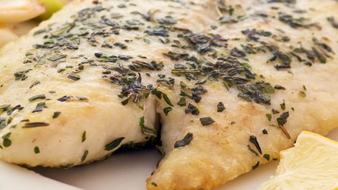 Nomad lên kế hoạch phát triển nhiều sản phẩm cá tra mới chất lượng cao 