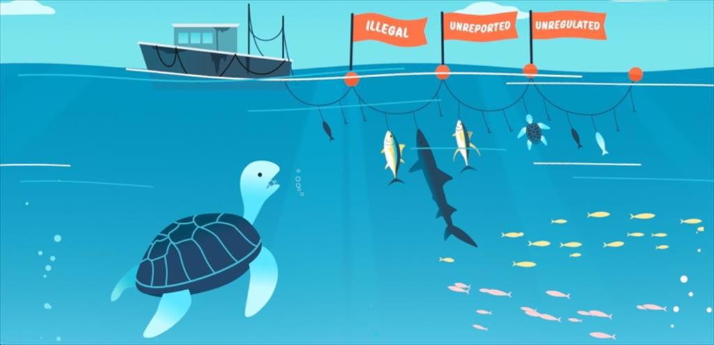 100 quốc gia cam kết tuân thủ Thỏa thuận của FAO về các biện pháp quản lý cảng 