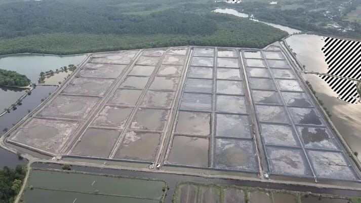 Tại sao ngành tôm châu Á có thể khó khăn trong năm 2023? 