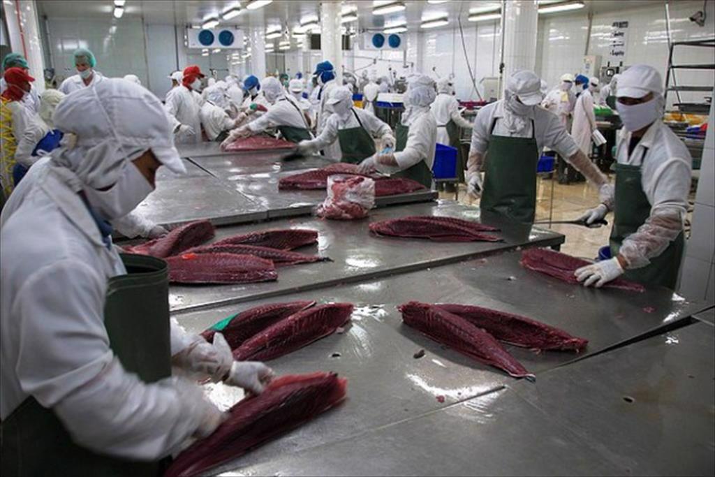 Infographic: Xuất khẩu cá ngừ Việt Nam 10 tháng đầu năm 2022