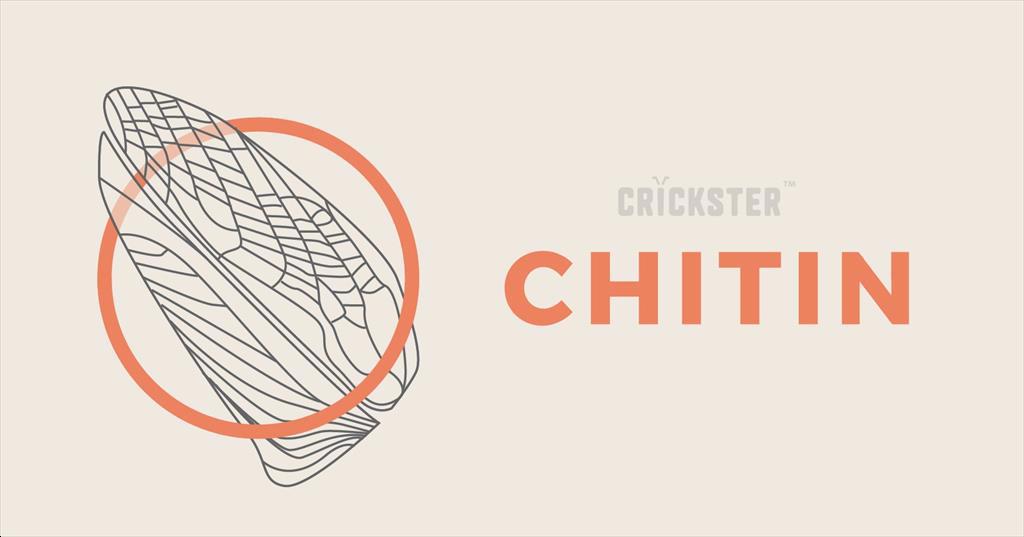 Pin ô tô điện có thể được cung cấp năng lượng từ phụ phẩm của động vật giáp xác