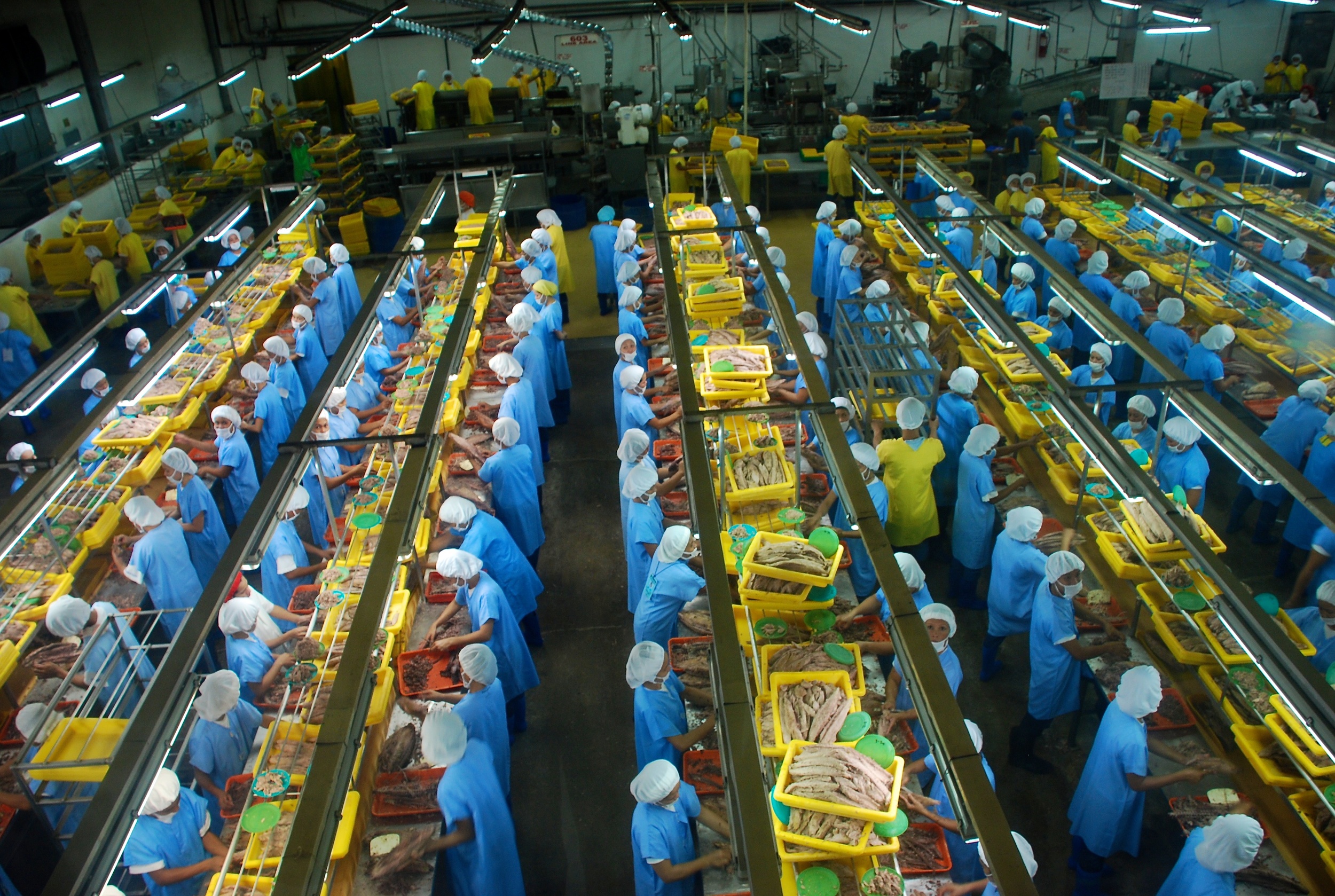 Ngành đồ hộp EU không thể cạnh tranh bằng chi phí