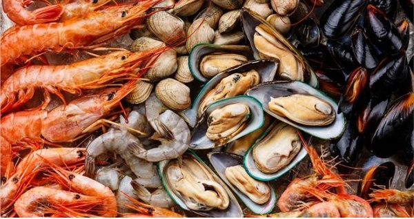 EU tiếp tục quan ngại về gian lận trong giao thương thủy sản