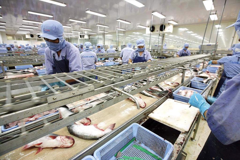 Vietnam’s seafood industry: The record of 10 billion USD and challenges ahead