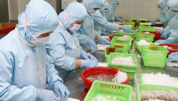 Nhận diện thách thức và cơ hội ngành thủy sản trong năm 2023