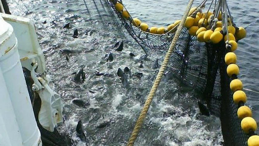 Panama nhận viện trợ của Mỹ để chống đánh bắt IUU