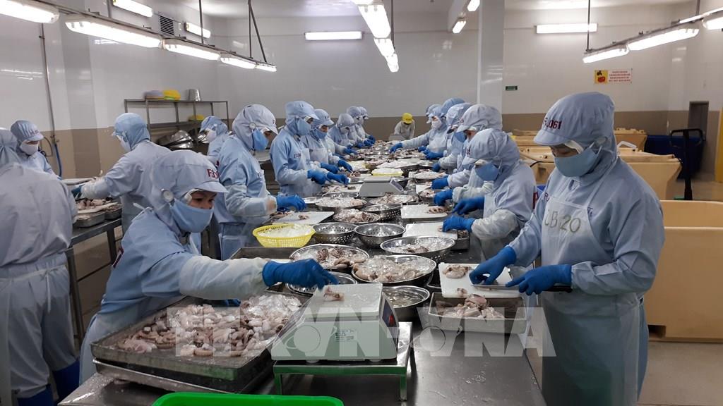 Việt Nam tham gia Diễn đàn Thủy hải sản Venezuela