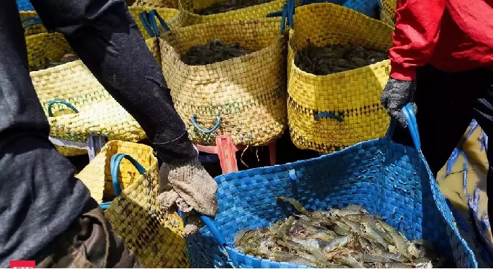 Xuất khẩu tôm Iran sang Trung Quốc dự kiến tăng 