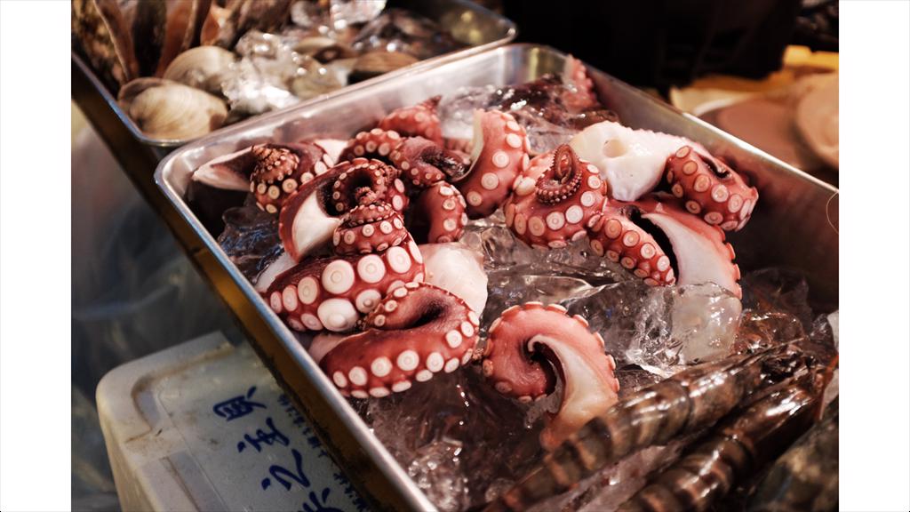 Ma-rốc báo cáo trữ lượng bạch tuộc cho vụ khai thác sắp tới