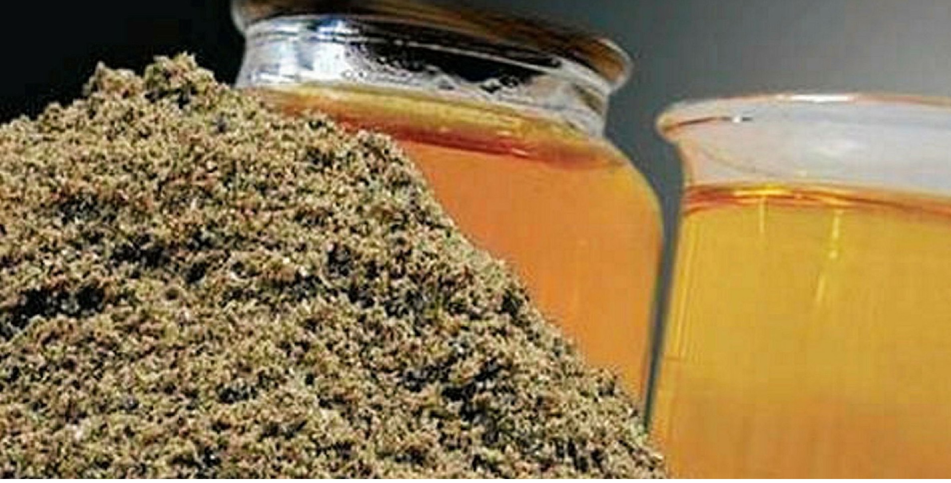 Rabobank Giá bột cá, dầu cá có thể giảm trong năm 2023