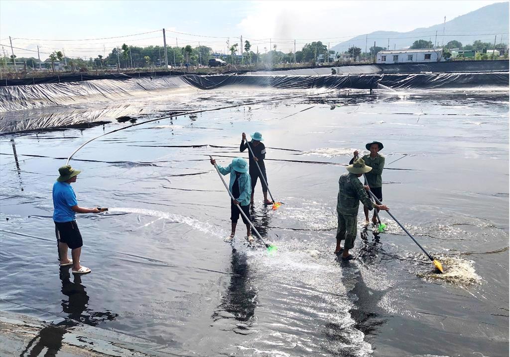 Ba Ria-Vung Tau prioritizes the development of high-tech aquaculture