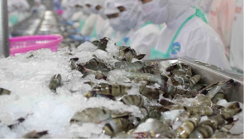 Tôm Việt Nam vẫn chiếm ưu thế trên thị trường Hàn Quốc  