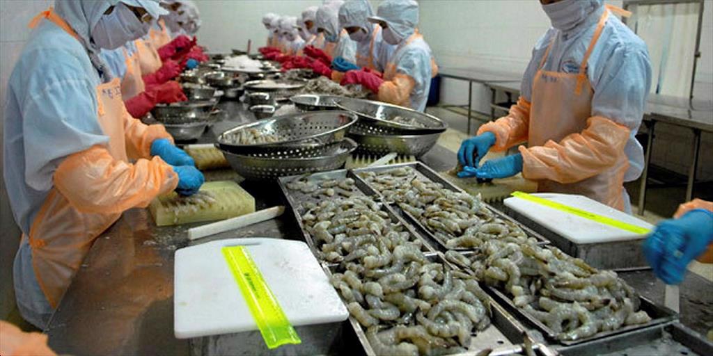 Vietnamese shrimp still dominate the Korean market