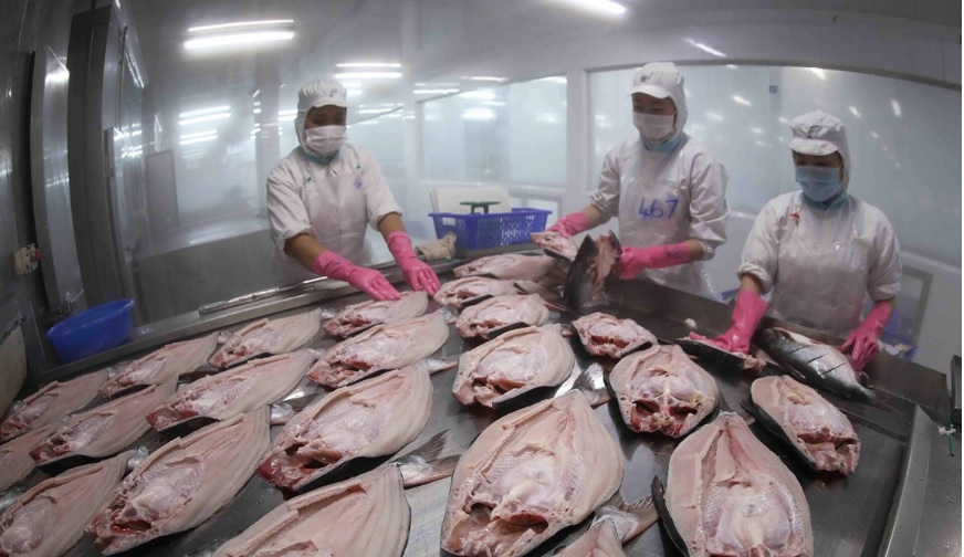   The US pangasius imports in the first 10 months of 2022 exceed 2021