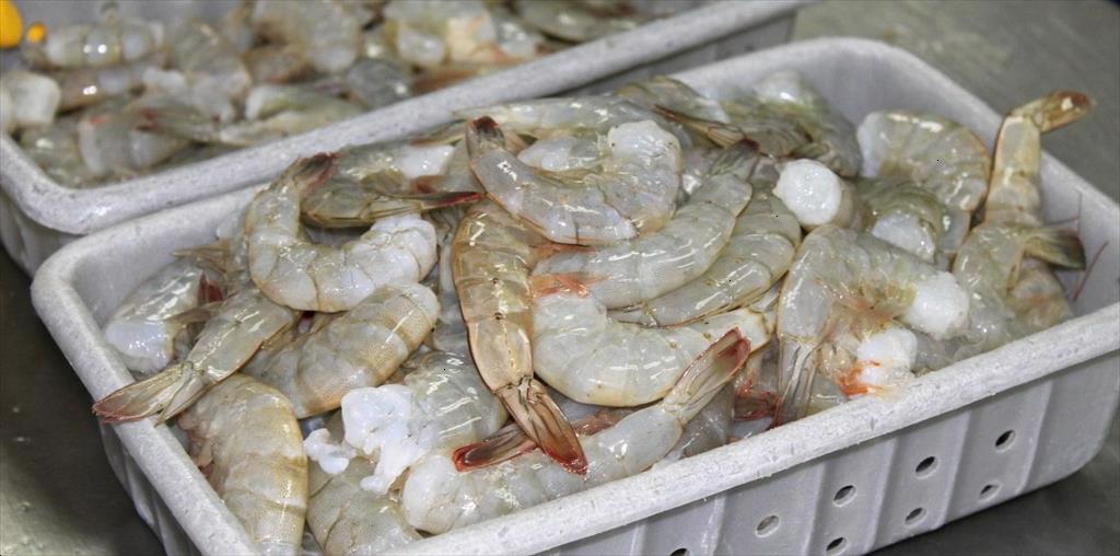 Ngành tôm Ấn Độ chật vật trước tác động của lạm phát toàn cầu