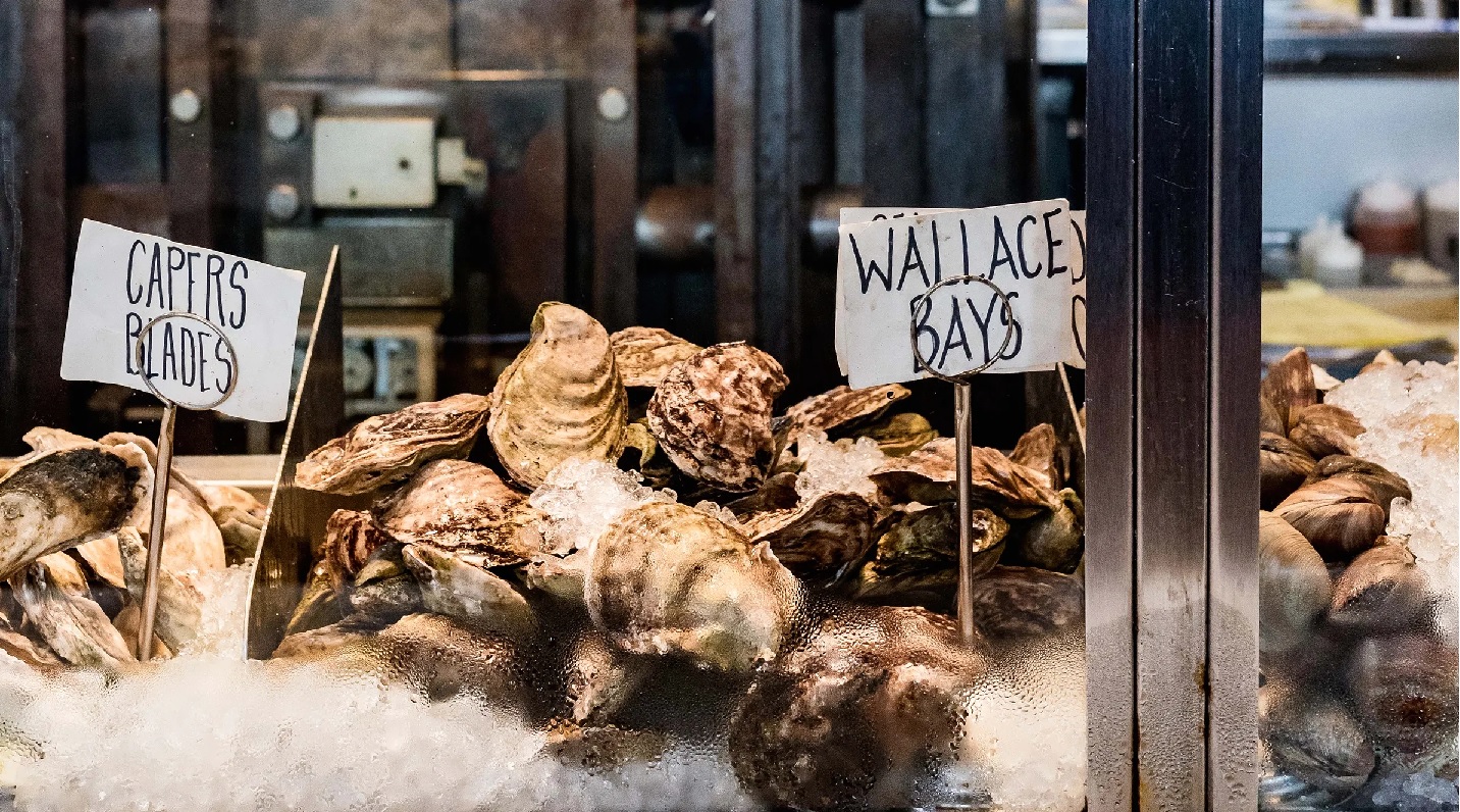 FDA: Hàu Texas có liên quan đến sự bùng phát norovirus