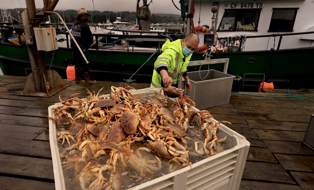 Mỹ mở gói cứu trợ sau khi khai thác cua hoàng đế, cua tuyết Alaska tuyên bố thảm họa 