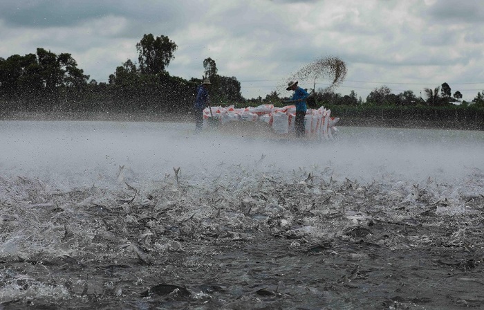 Dư địa lớn cho ngành thủy sản vùng đồng bằng sông Cửu Long