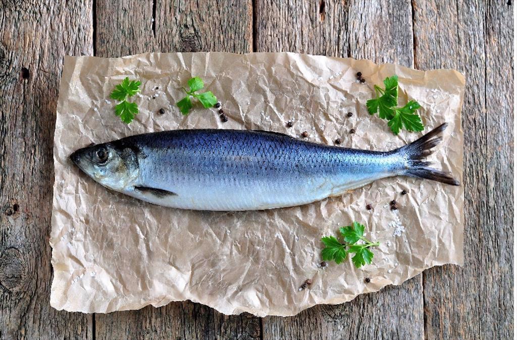 Hàn Quốc: Giá trị nhập khẩu cá trích đông lạnh tăng 146% 