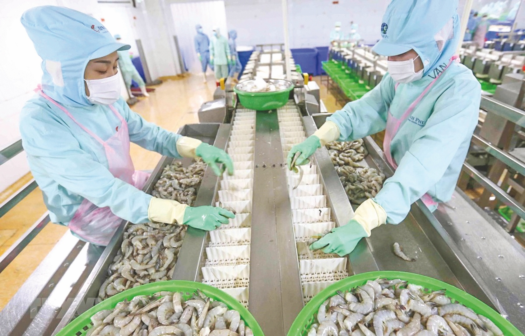 Xuất khẩu thủy sản cầm cự chờ thời