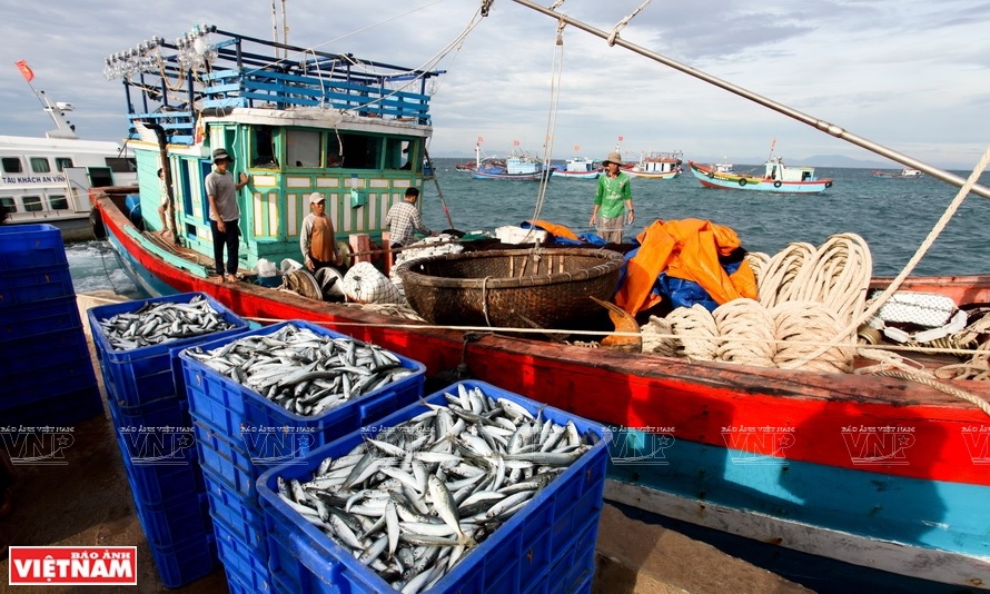 Vietnam- the third largest seafood exporter in the world