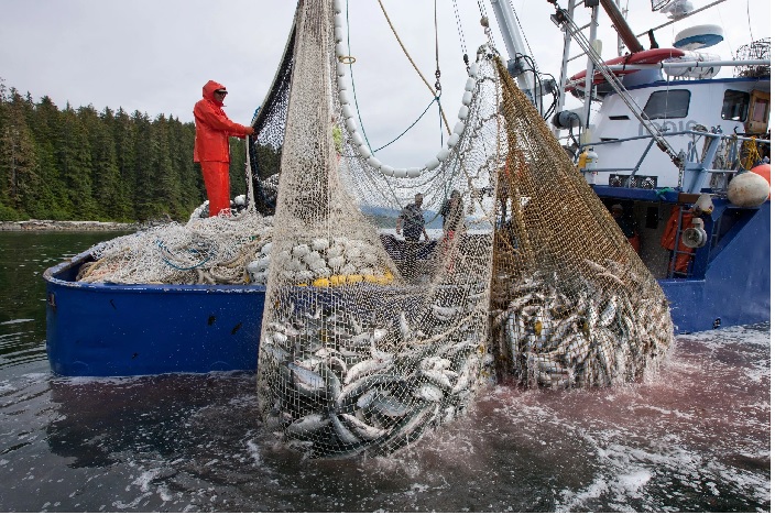 Nghề cá Alaska sẽ có một năm 2023 bận rộn