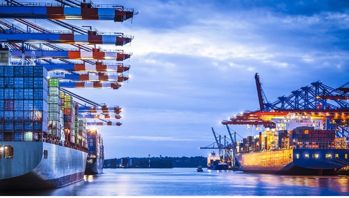 Trung Quốc giảm thuế nhập khẩu đối với cá trích xanh đông lạnh 