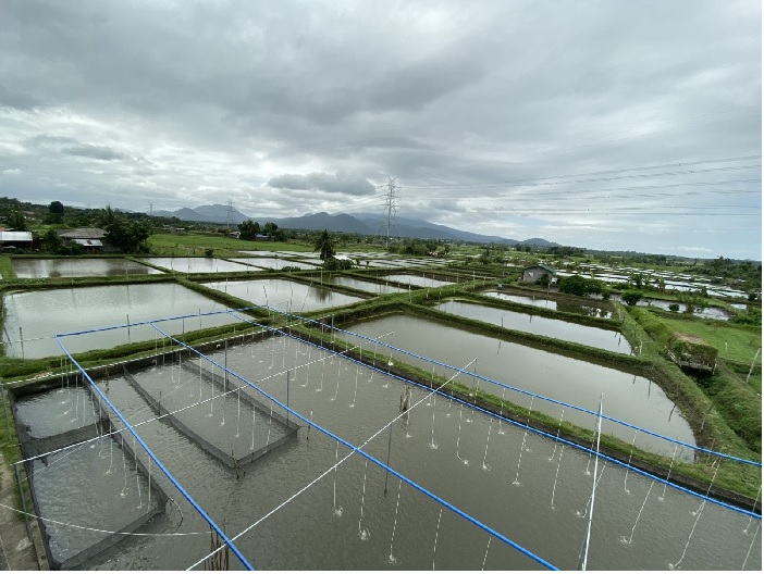 Nhu cầu chứng nhận BAP ngày càng tăng từ thị trường thủy sản nội địa Trung Quốc 