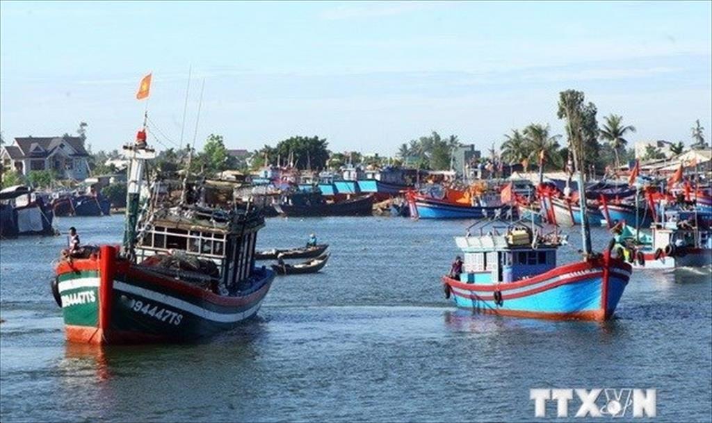 All illegal fishing activities to be punished strictly: deputy minister