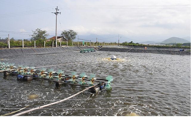 Câu chuyện đầu năm với người bạn lớn 
