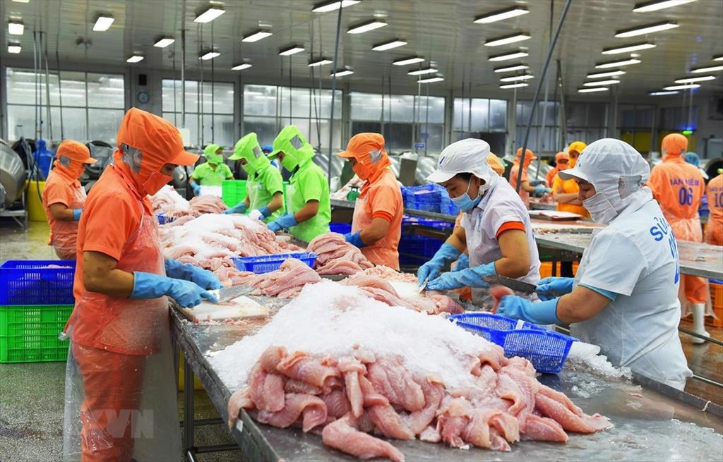 The US and Chinese markets are very potential destination for Vietnamese  pangasius businesses