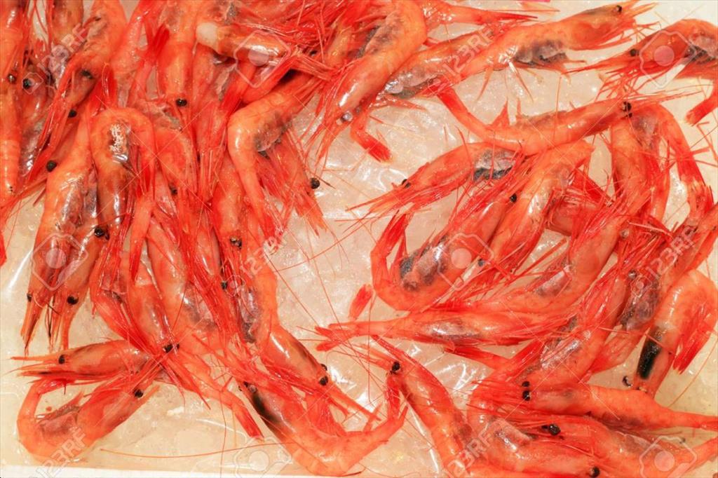 Trung Quốc tăng trưởng rõ rệt nhờ thị trường tôm MSC