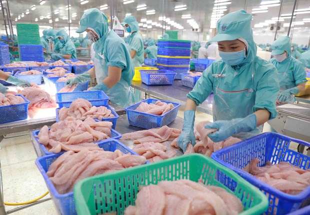 Infographic: Xuất khẩu cá tra Việt Nam năm 2022