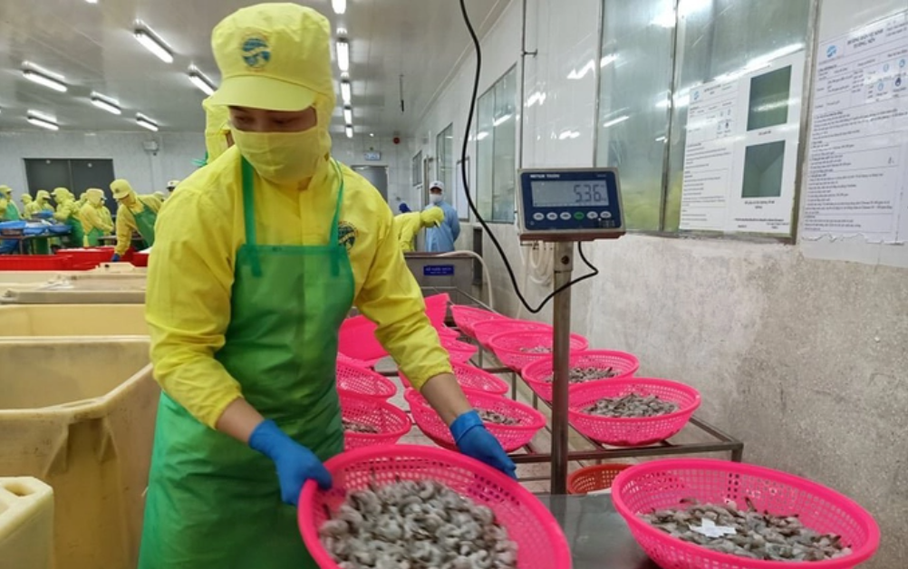 Cà Mau: Năm thứ 3 xuất khẩu thủy sản vượt mốc 1 tỷ USD