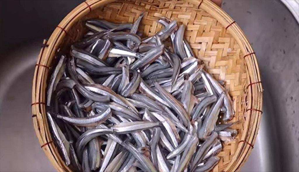 Mùa cá cơm Peru sắp kết thúc trong khi 20% hạn ngạch chưa được đánh bắt