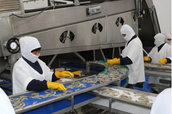 Kỷ lục 1 triệu tấn tôm xuất khẩu của Ecuador và tương quan với Việt Nam 