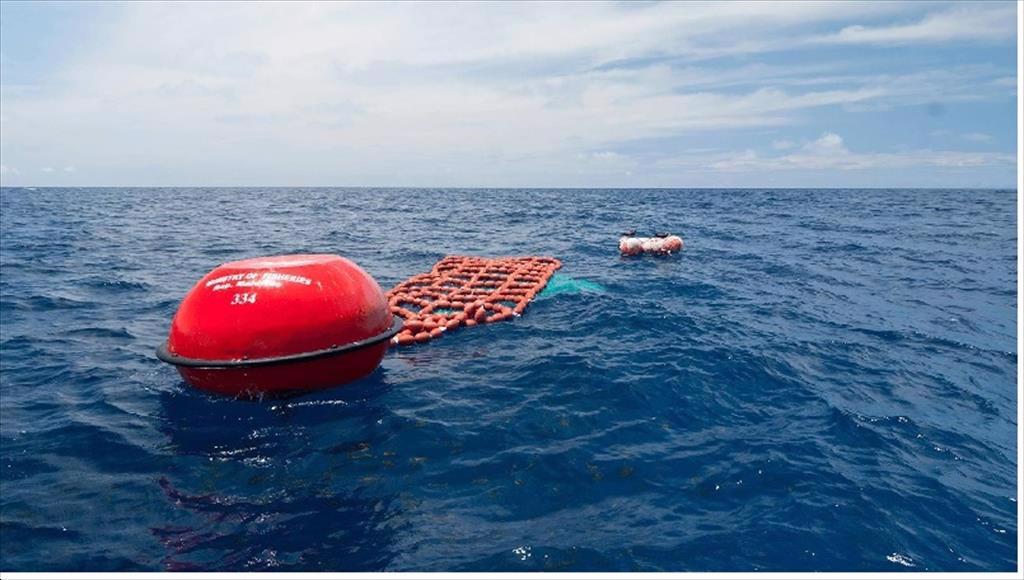 Ấn Độ đề xuất loại bỏ dần các thiết bị dẫn dụ cá 